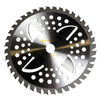 Нож с зубцами из твердого сплава Wind 40/255/25,4/1,3 Champion, арт. C5203